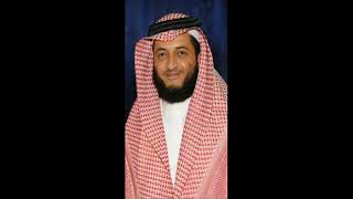 Luqman  31 : Beautiful Recitation By Sheikh Hani Al Rifai