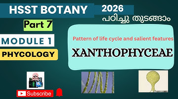 Xanthophyceae (Yellow -green algae) - Salient features | classification of algae| #plantsapiens
