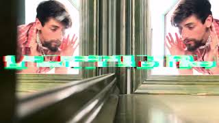 Willy Wonky R U ? ? ? - Larryproductions Video Oficial