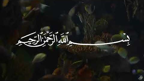 سورة يس   عبدالباسط عبدالصمد   SURAH YASIN   Abdulbasit Abdussamad