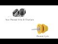 Phonak Virto™ B-Titanium and Lyric™: Discreet, in-the-ear solutions