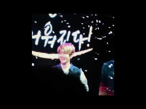 꽃가루와 백현이 그리고,,