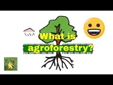 Introductory Agro Forestry ICAR E course Free PDF Book Download e ...