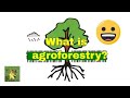 What is #Agroforestry ?