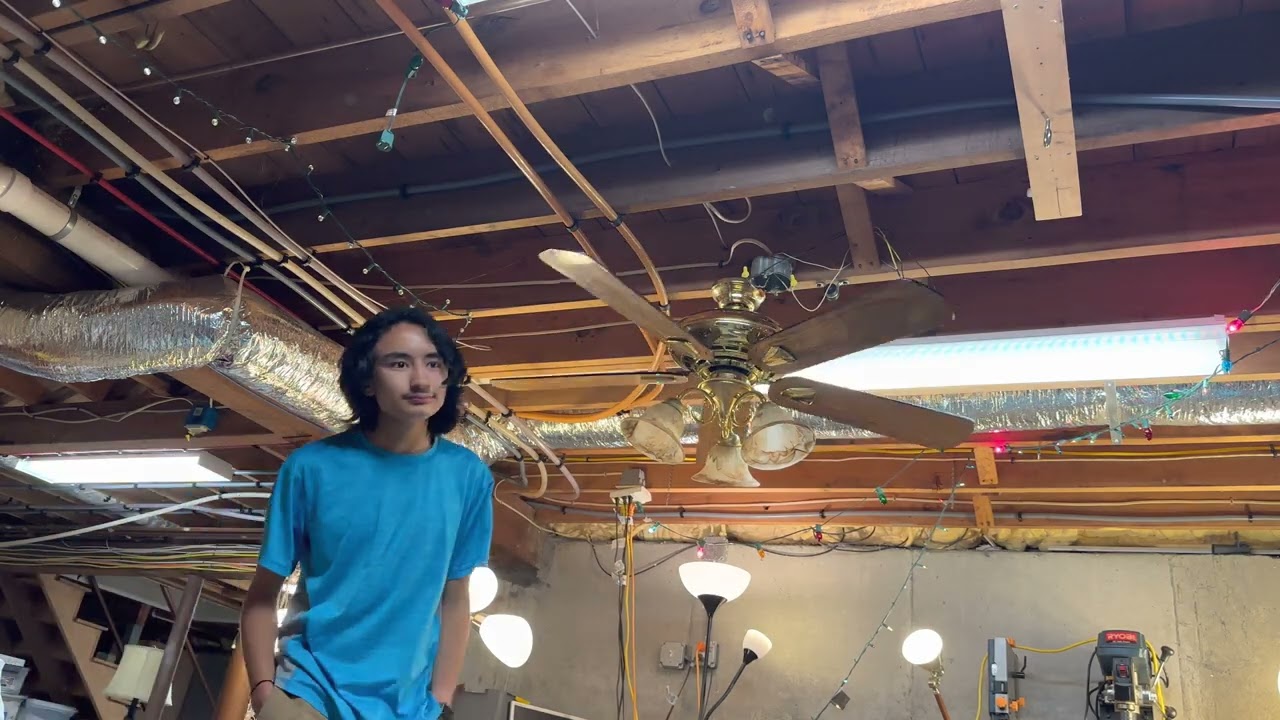 Story time on the Casablanca California Zephyr Ceiling Fan