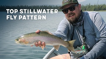 Learn to Tie This Killer Stillwater Fly Pattern & One of My Top Flies - The Sidewinder Damsel