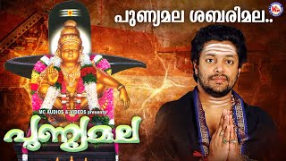 പുണ്യമല ശബരിമല | ayyappa devotional song malayalam | hindu devotional | madhu balakrishnan|