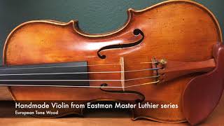 Eastman Model 908 Violin