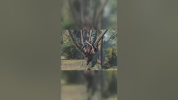 Tree Parkour Is So Relaxing! | Assassin