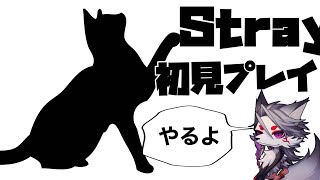 【２】煙をまといし猫が行く【Stray】