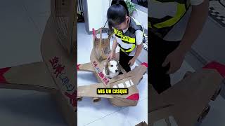 She built a plane for her dog 😮✈️