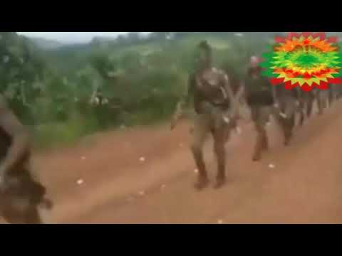 WBO N Oprashinii Jaal Lagasa Wagii Bakkoota Bayyee Dhuunfata Jirachuun Himame Itti Dhiiyaadha