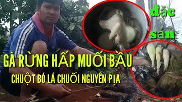 Gà rừng hấp bầu / Pịa chuột băm nguyên con bó lá chuối thơm ngon