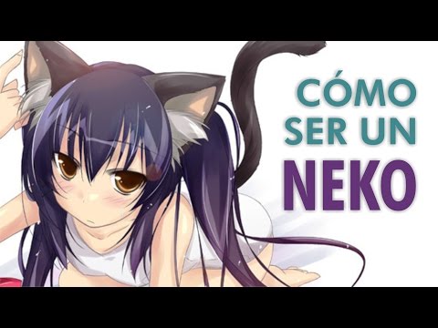 Cómo ser un neko (En 10 pasos)