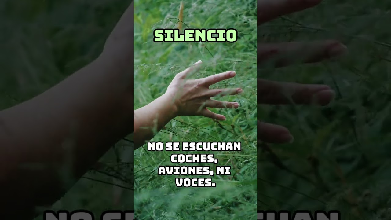 Miniatura de Silencio