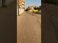عزبة الباشا
