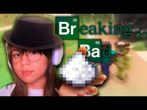 Actos ilegales en MINECRAFT