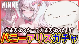 【#NIKKE】やはり時代はバニガール！！！「アリス」ガチャ！！！【両生類系人外VTuber/半崎ウイネコ】【メガニケ/ニケ】