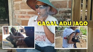 GAGAL ADU JAGO - POTRET ANAK DESA