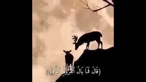 { قَالَ فَمَن رَّبُّكُمَا يَا مُوسَىٰ } سورة: طه #القارىء : رعد الكردي - #ارح_سمعك 😴♥️.