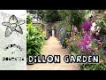 Tour of the New Dillon Garden - Ireland's best known gardener