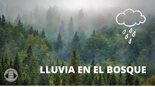 LLUVIA INTENSA EN EL BOSQUE🙌/SONIDO BLANCO DE LA LLUVIA🎧💧