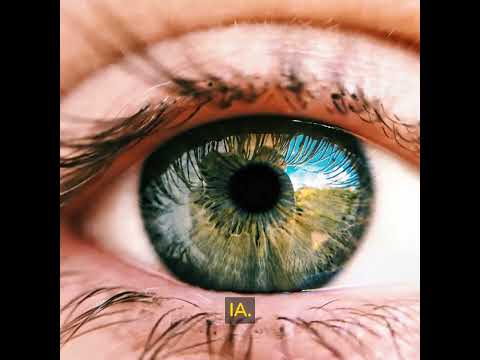 vision por computadora la vision por computadora es otra aplicacion importante de la IA