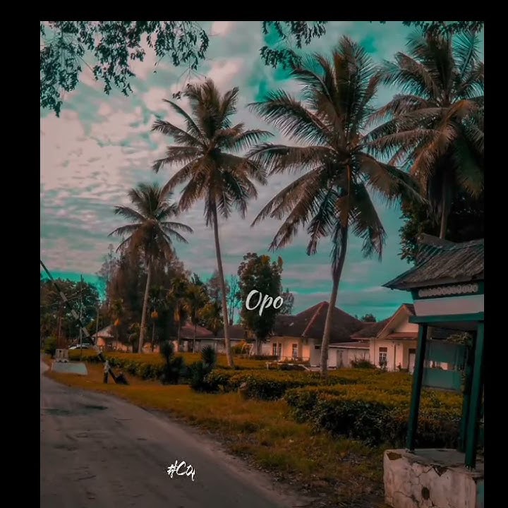 Story Wa Terbaru! || Aku Sayang Koe || Happy Asmara!.