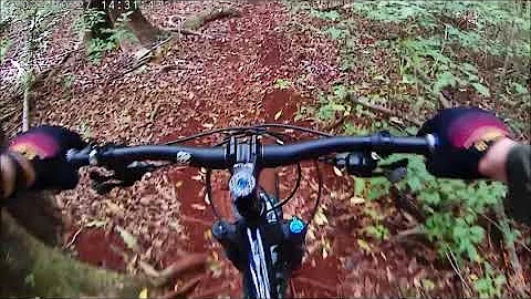 Mountain Bike Ride in Makawao Forest Reserve