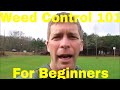 Weed Control 101 -  How to Control Weeds in the Lawn for Beginners