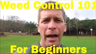 Weed Control 101 -  How to Control Weeds in the Lawn for Beginners