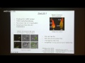 Gearing j2013 screening for epigenetic regulators of x chromosome inactivation