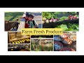 Farm fresh produce vegetables fruits chicken eggs  and duck eggs toobothellwa