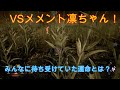 [DBD]ガチチェイスパーク構成！！メメント凛ちゃんとの対決の結果・・・　WTと二郎のDBD実況　part33