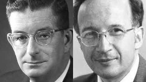 Woodward Hoffman Rules Explained