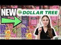 Dermatologist Shops Dollar Tree Skin Care: You Won’t Believe What Works
