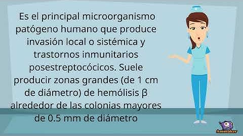 Streptococcus pyogenes