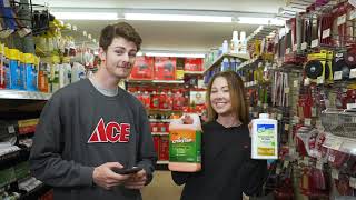 Leeway Ace Paint Stripper