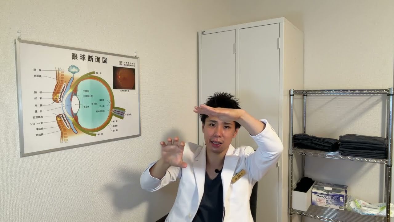 多焦点眼内レンズによるミニモノビジョン