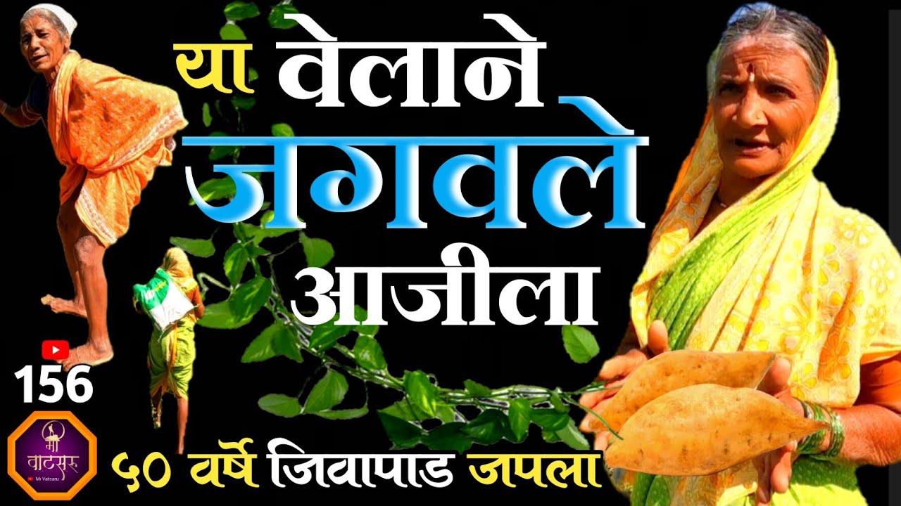 50 वर्षांपूर्वी आईकडून आणलेला हा वेल अजूनही कसा काय जिवंत ठेवला आहे आजीने? या वेलाने कसे जगवले तिला?