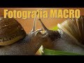 Fotografía MACRO