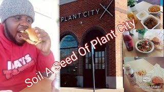 Soil A Seed Of Plant City Vlog