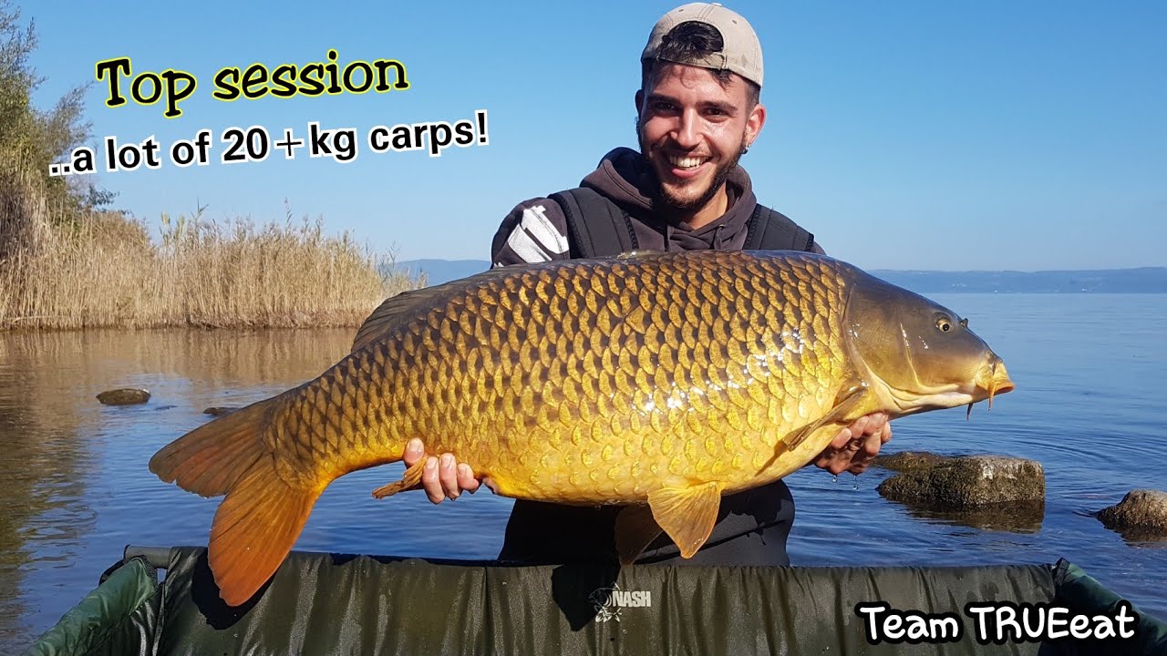 Carpfishing Lago di Bolsena, Sessione TOP The Powerful Big Carps of