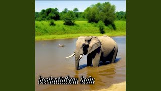 berlantaikan batu