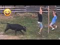 Try Not To Laugh 🤣 Top 100 Funniest Videos Ever 🎬🔥 Memes, Epic Fails & Pranks Compilation Part 35