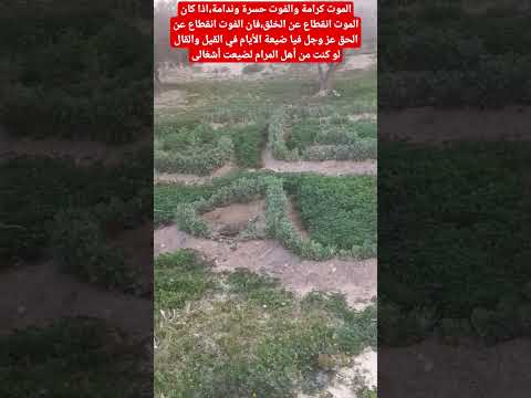 من فاته من الله وصل حظه الندم ومن كان الله همه تسمو به الهمم وغافل عن طاعة موﻻه حق له أن يبكي دم