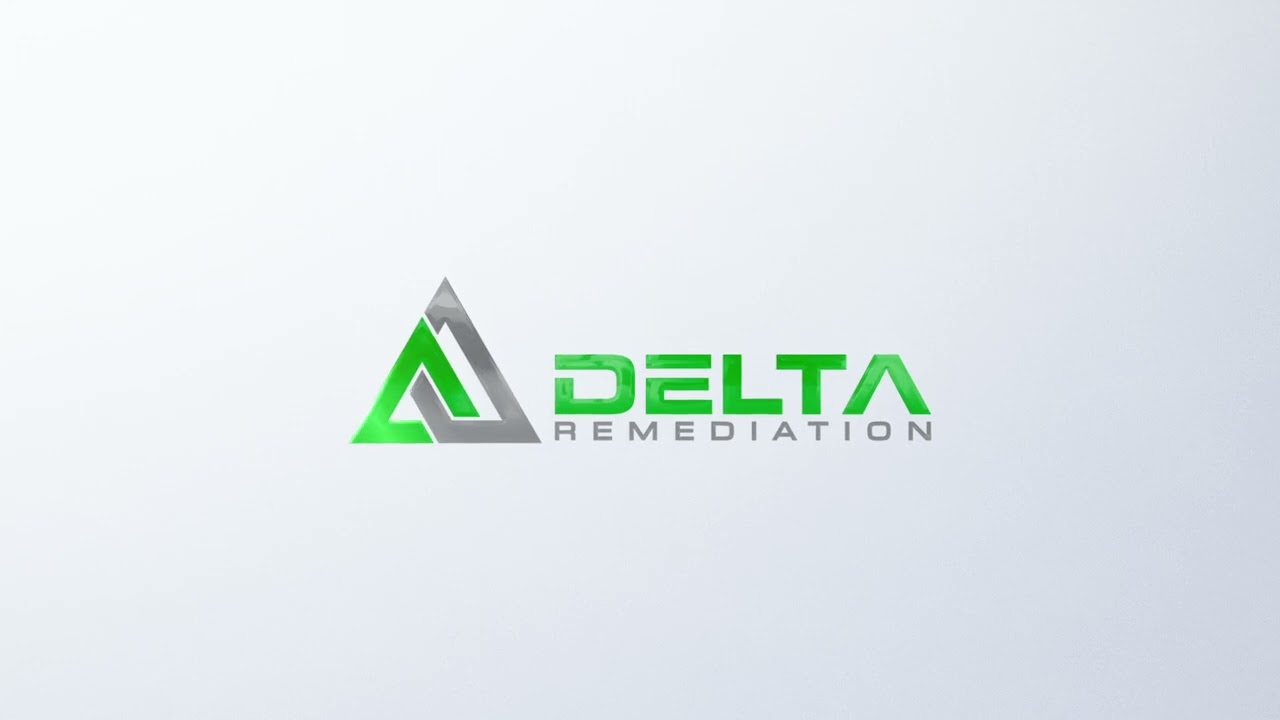Delta Remediation Logo Intro