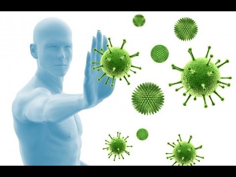 Видео: 3 способа предотвратить распространение эпидемий