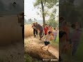 小女孩捅马蜂窝被马蜂追了A little girl stung a beehive and was chased by bees.