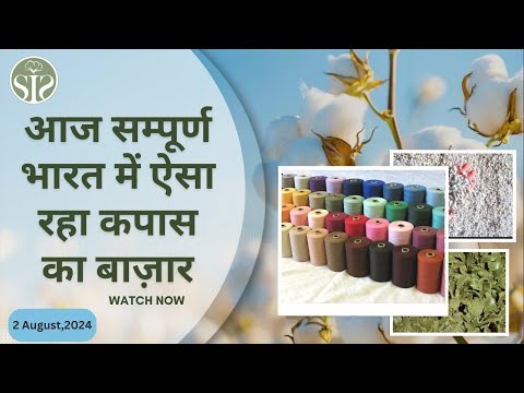 02 अगस्त  के कपास बाजार पर एक नजर😨 aaj ka kapas ka bhav😨 cotton market rate today #kapas #smartinfo